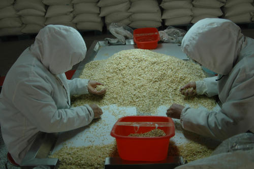 蘭州海關關長張銀喜等領導到敦煌種業(yè)百佳食品公司調(diào)研