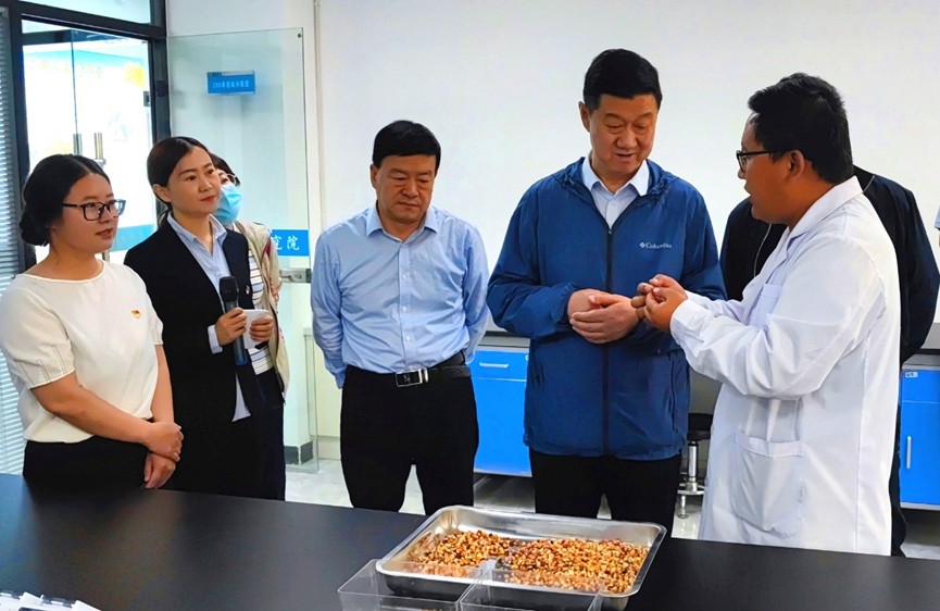 甘肅省地方金融監(jiān)管局、甘肅證監(jiān)局領導蒞臨敦煌種業(yè)調研指導